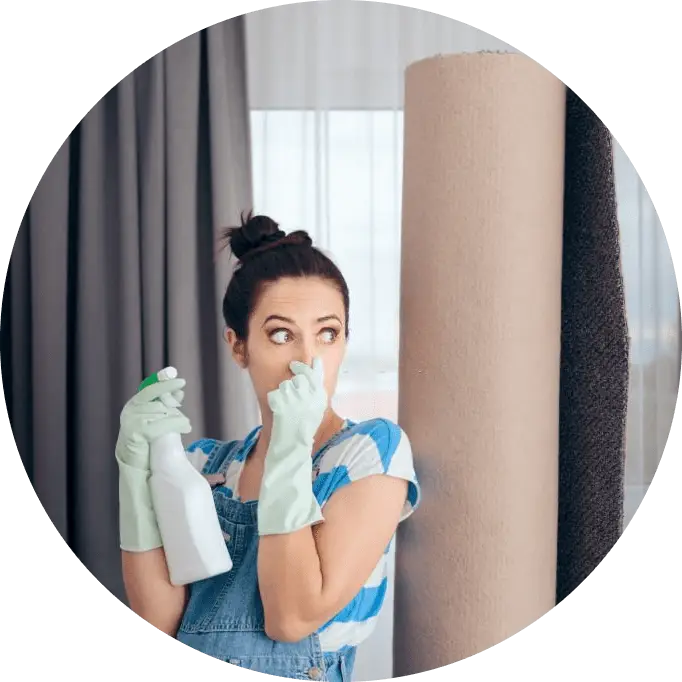 Carpet Odour Removal